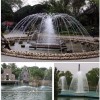 نافورة مفرد